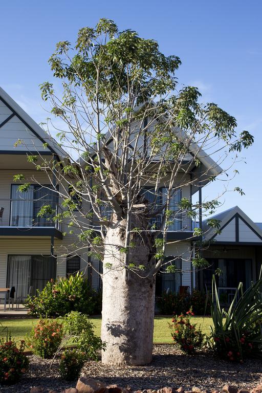 Freshwater East Kimberley Apartments Kununurra Zewnętrze zdjęcie